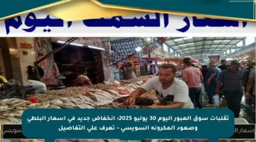 تقلبات سوق العبور اليوم 30 يوليو 2025: انخفاض جديد في أسعار البلطي وصعود المكرونة السويسي – تعرف على التفاصيل